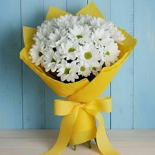 Букет цветов из:  Хризантемы в Максатихе