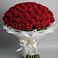 Букет 101 Красная роза Блэк Мэджик в Максатихе