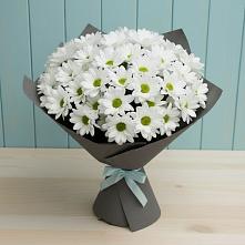 Букет цветов из:  Хризантемы #REPLACE_PRED# Максатихе