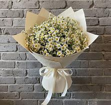 Букет цветов из:  Ромашки в Максатихе