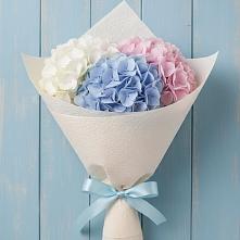 Букет цветов из:  Гортензия в Максатихе
