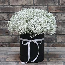 Цветочная композиция из Гипсофила в шляпной коробке в Максатихе