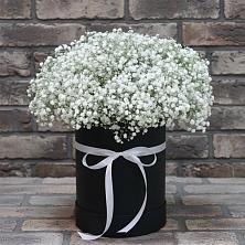 Цветочная композиция из Гипсофила в шляпной коробке в Максатихе