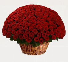 Премиум букет из: Розы в Максатихе